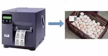 二維碼追溯食品安全，黃埔區試點推廣應用