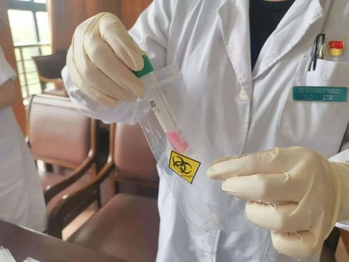 嘉定社區衛生服務中心 核酸檢測采樣與環?？萍技夹g開發服務介紹