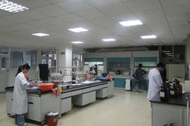 網購 超越優惠的信任橋梁——檢測服務的力量